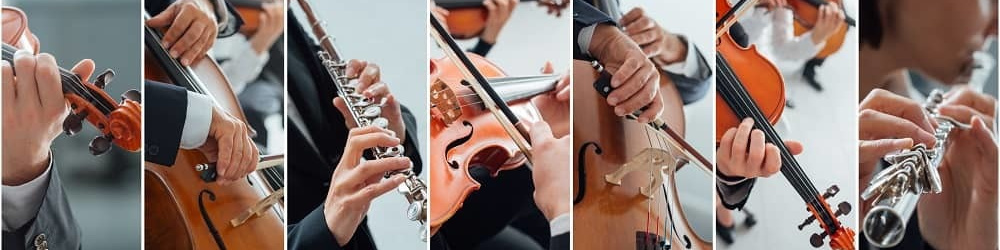 演奏者派遣/Nesteg Arts